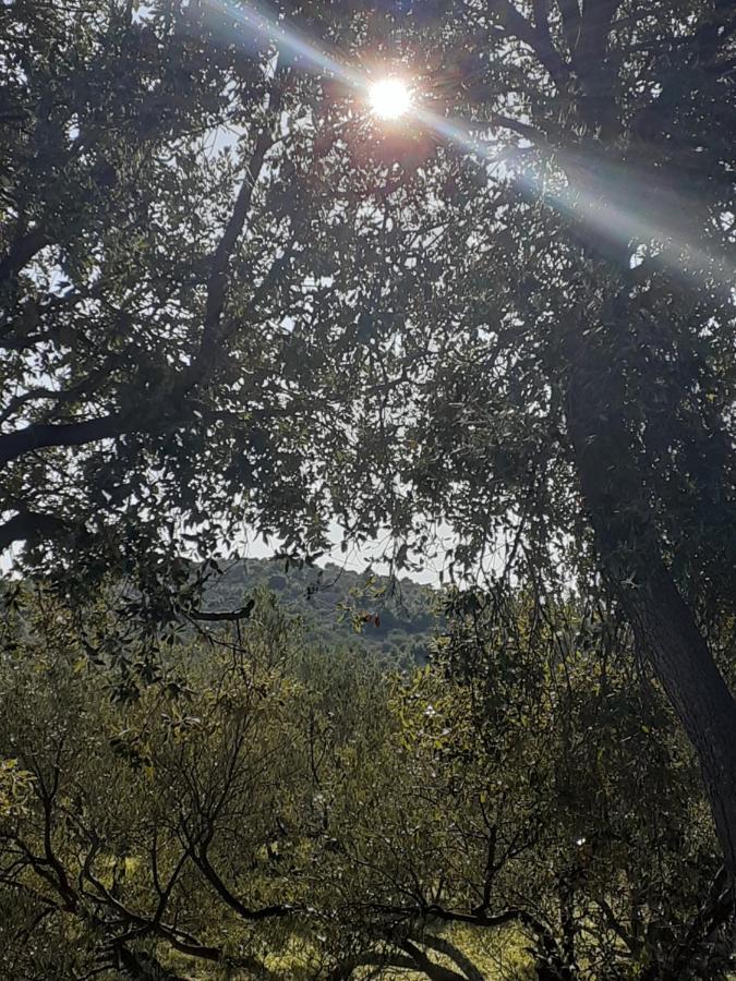 Villa Palfi Jezera Exteriér fotografie
